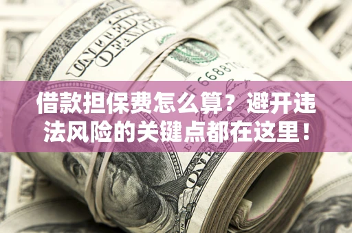 济南借款担保费怎么算？避开违法风险的关键点都在这里！