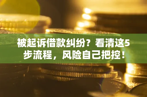 济南被起诉借款纠纷？看清这5步流程，风险自己把控！