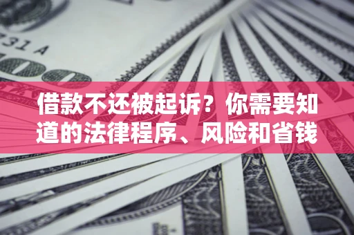 济南借款不还被起诉？你需要知道的法律程序、风险和省钱技巧