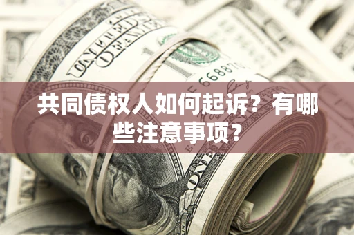 济南共同债权人如何起诉？有哪些注意事项？